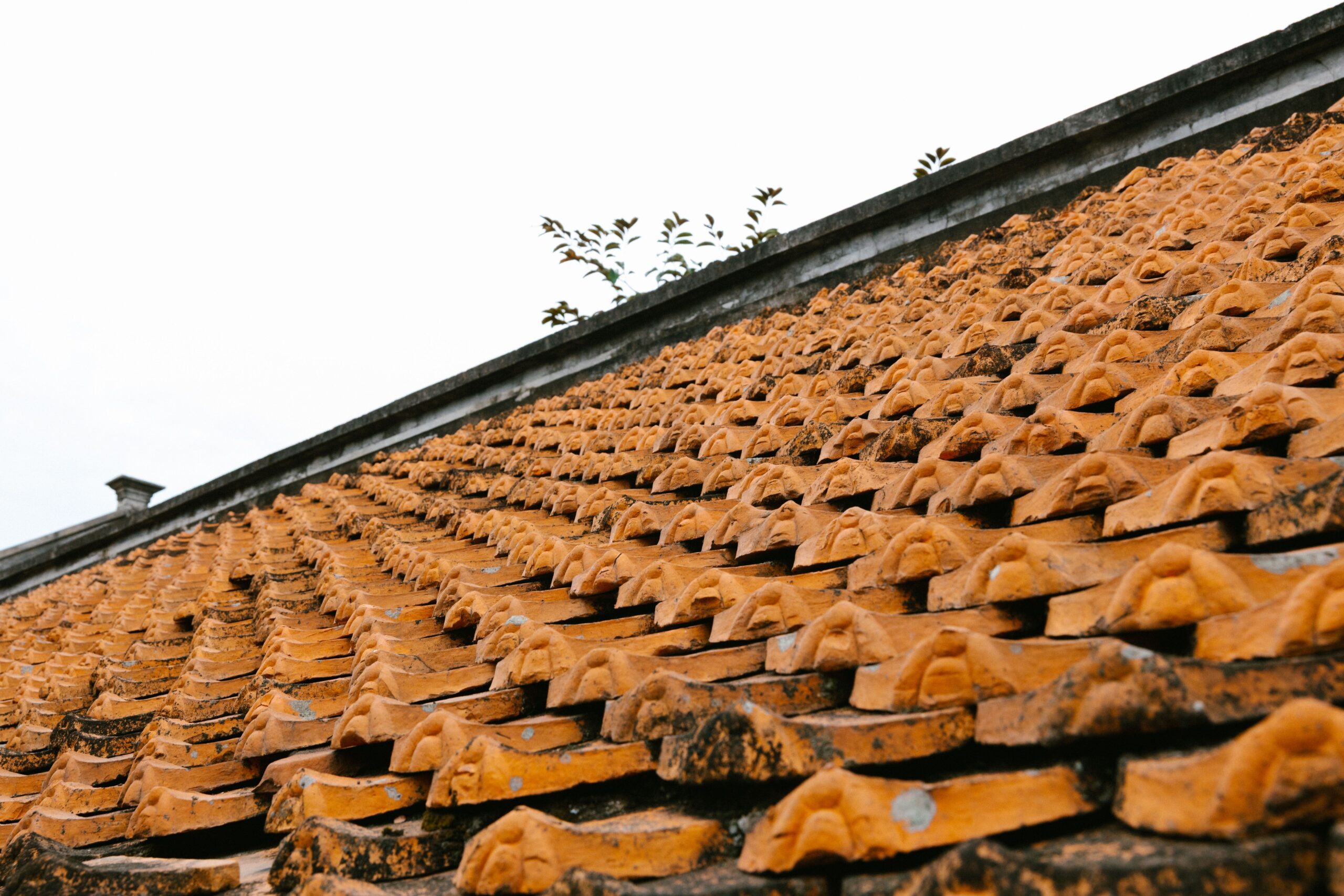 Slipped and Missing Roof Tiles: When Does a Small Problem Need Professional Repair? - Article